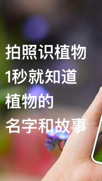 拍照识别植物手机版下载,拍照识别植物,识别app